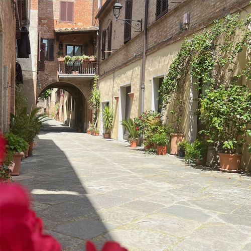 APARTMENTS IN TUSCANY