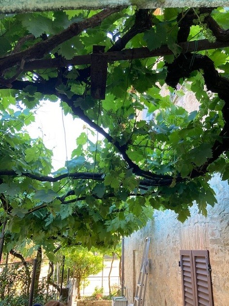 Porzione di casa -  Bibbiano
