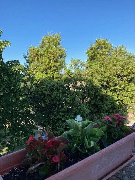 Porzione di casa -  Bibbiano