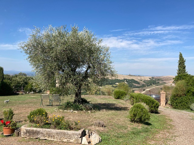 Rustico / Casale -  Montalcino