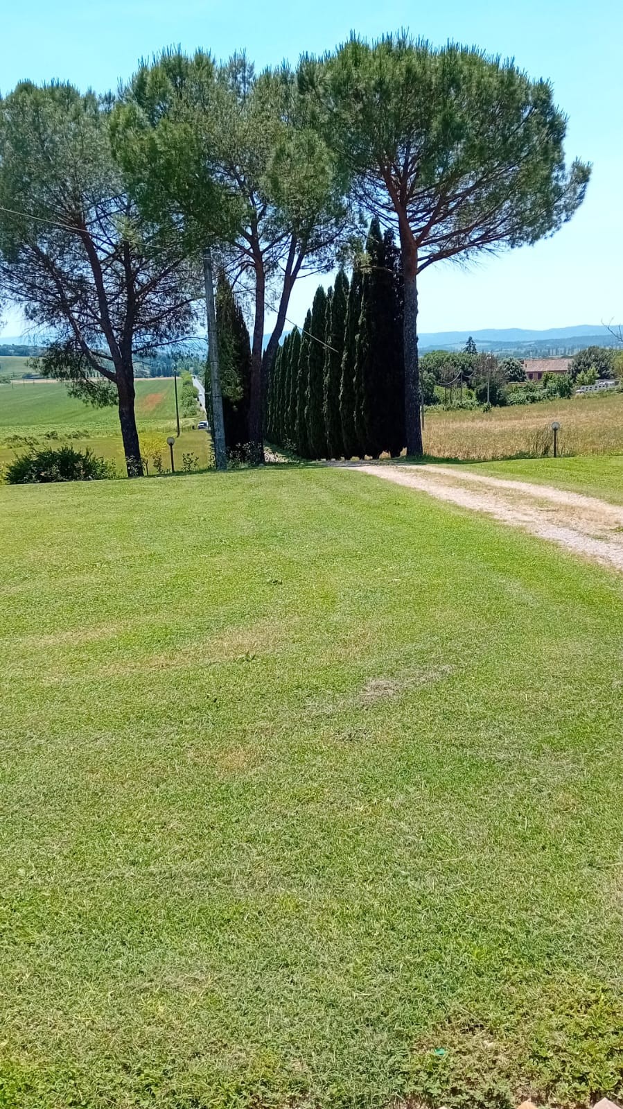 Rustico / Casale -  Ponte d'Arbia