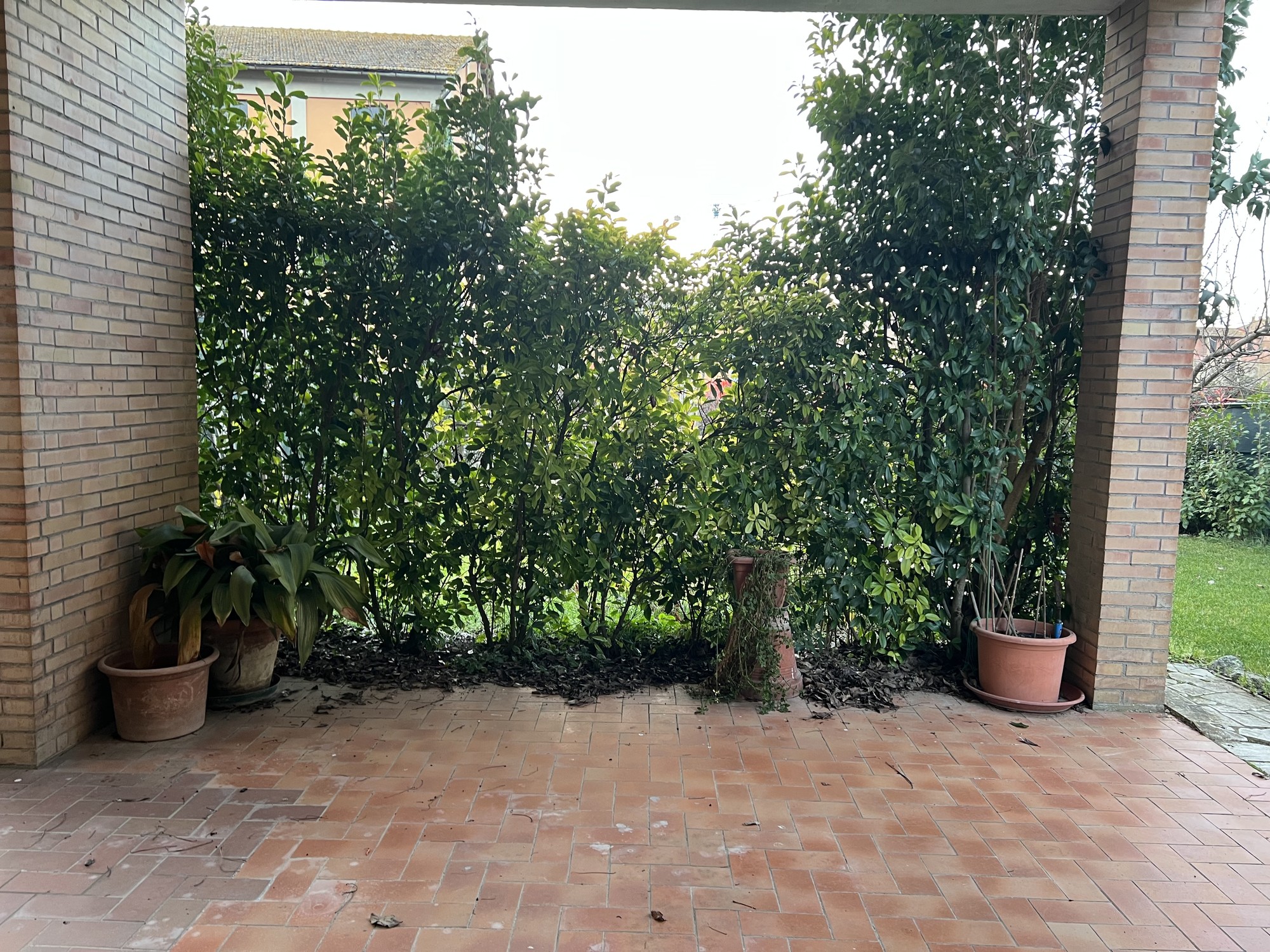 Terratetto -  Buonconvento