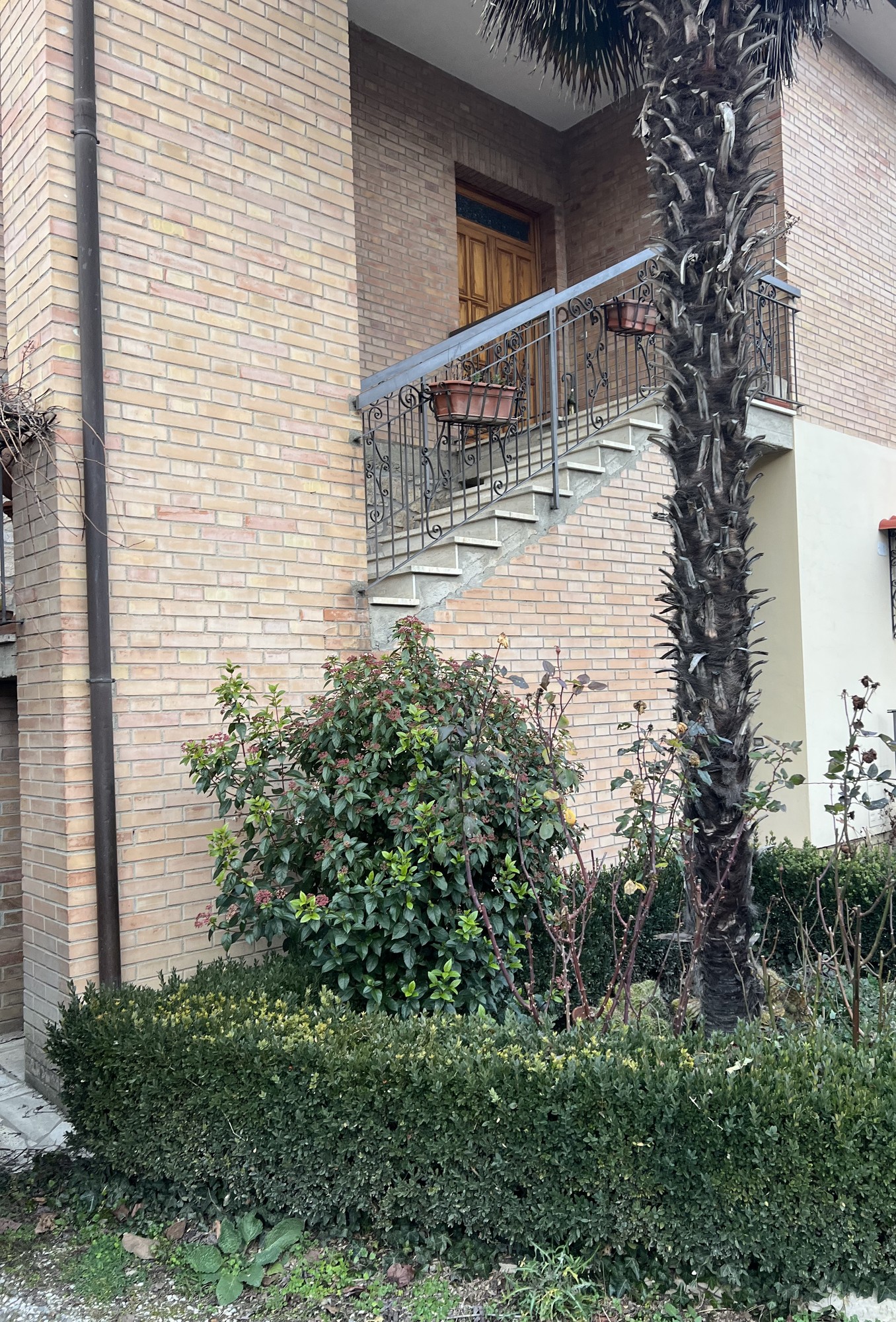 Terratetto -  Buonconvento