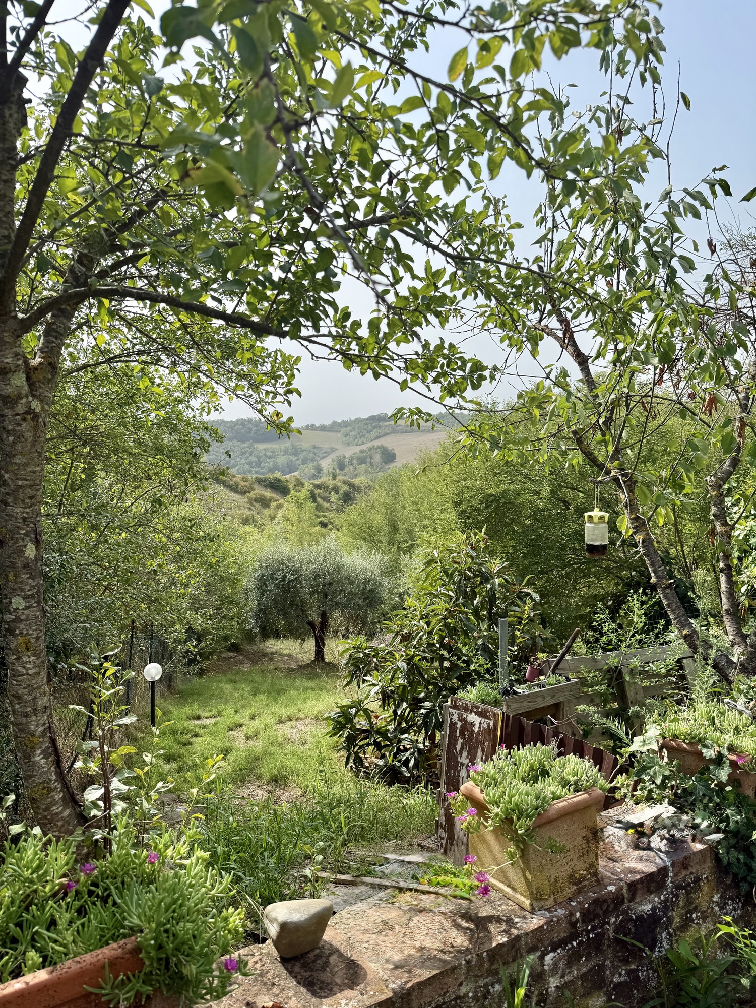 Rustico / Casale -  Buonconvento