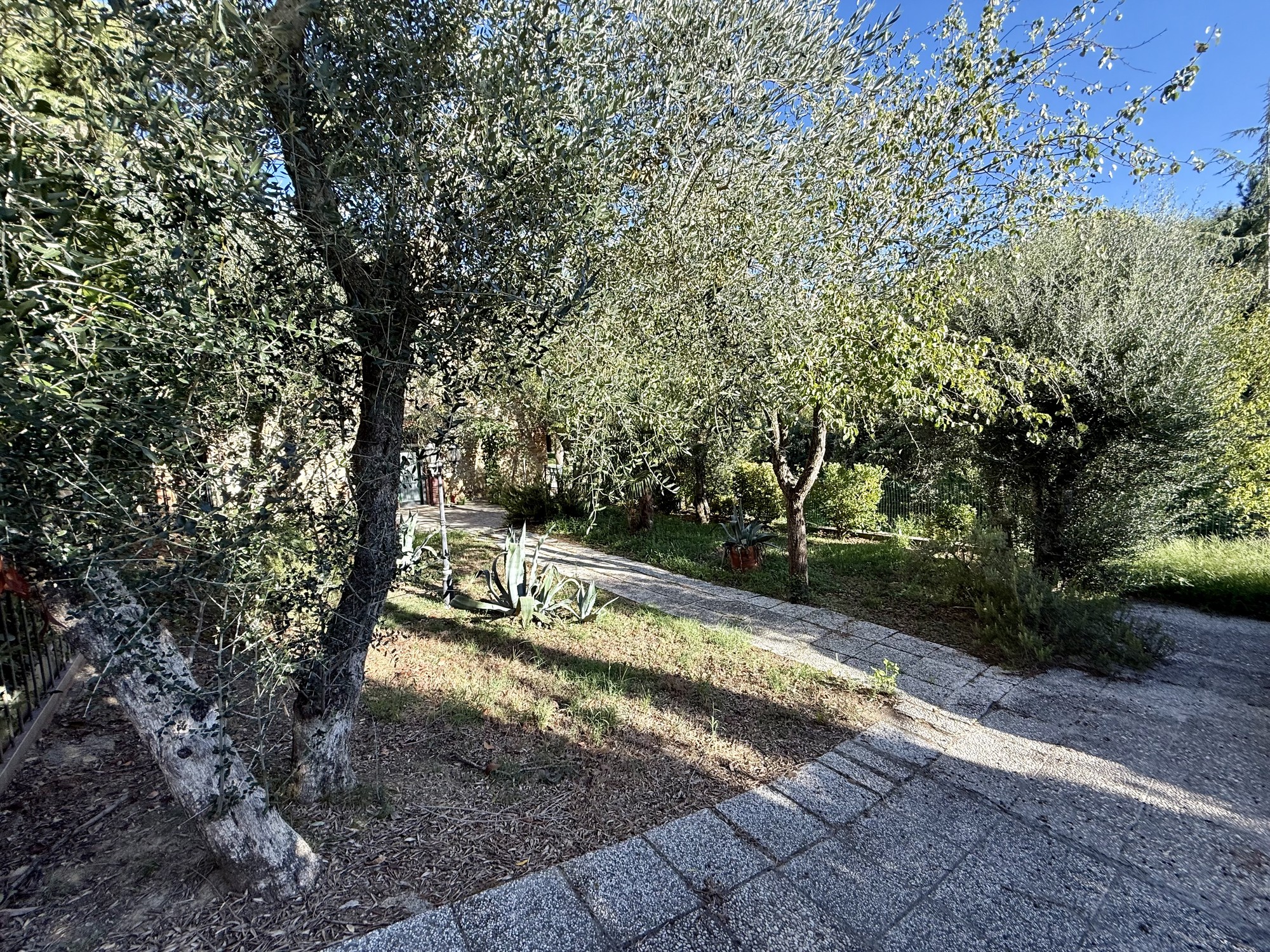 Appartamento -  San Giovanni d'Asso